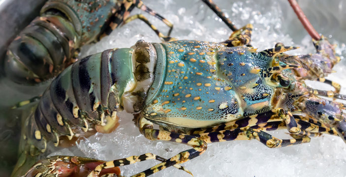 Seafood on ice