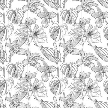 Fototapeta Seamless floral pattern