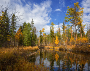 Autumn River in Eastern Siberia 