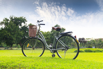 Obraz premium Bicycles in the park