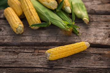 ear of corn