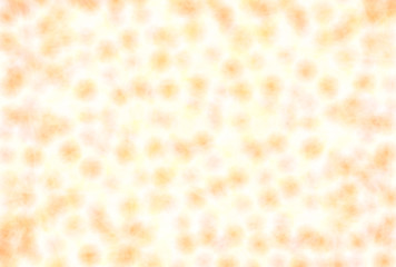 秋　背景　テクスチャ