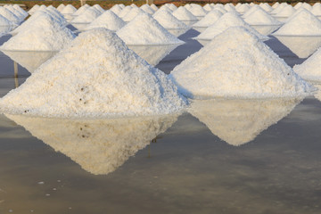 Salt farm with morning light at Phetchaburi Province, Thailand
