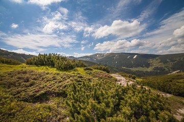 Fototapeta premium panorama view of the mountains and cliffs