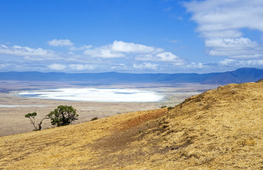 Fototapeta na wymiar Tanzania, Ngorongoro National Park, the salt lake in the crater