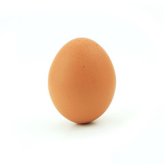 one egg isolated on white background