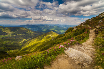 Fototapeta na wymiar Beautiful mountains landscape in Carpathian