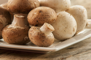 Brown champignon mushroom