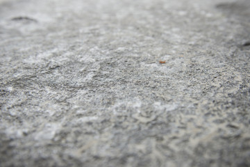 Fototapeta na wymiar Texture of stone. Depth of field at center image
