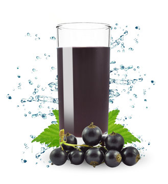 blackcurrant juice in a glass splash isolated on white