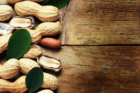 Peanut Cacahuete Arachide Erdnuss&ouml;l Huile d'arachide Jordn&ouml;tsolja &alpha;&rho;&alpha;&chi;ί&delta;&alpha; Bagigi Calacavisi spagnolette noccioline americane scachetti galette caccaetti arachidi 