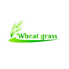 Wheatgrass green juice. Logo, banner, frame for business, the