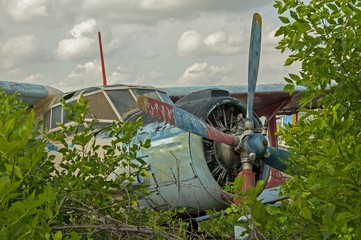 Abandoned old plane ruins in a forest- cockpit view