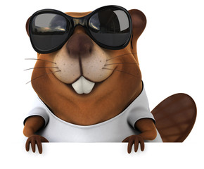 Beaver with a white tshirt © Julien Tromeur
