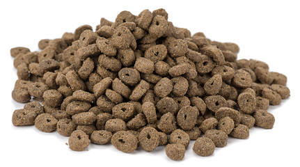 Cat Food