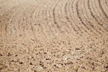 Farmland