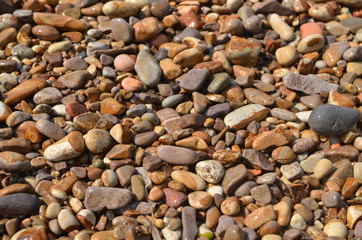 A varietyof pebbles on the beach