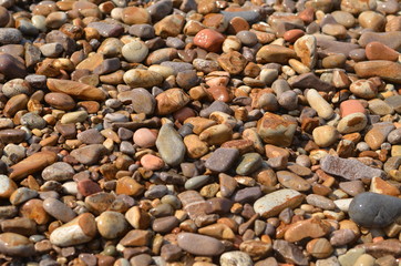 A variety of pebbles