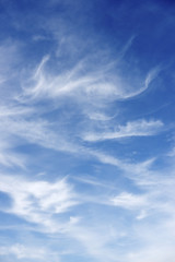 Fototapeta premium Sky background