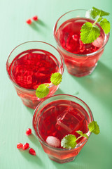 summer pomegranate drink with melissa