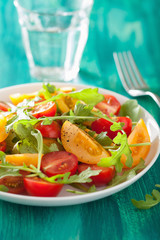 tomato salad with arugula over green background