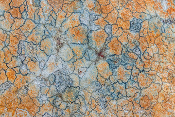 Beautiful natural pattern of lichen on the stone