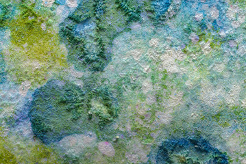 Abstract watercolor background