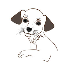 Cartoon cute outline dog.  Contour puppy. Vector, EPS 10