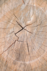 Circles cutting wood