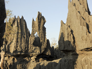 Tsingy de Bemaraha National Park. Unesco World Heritage in Madag