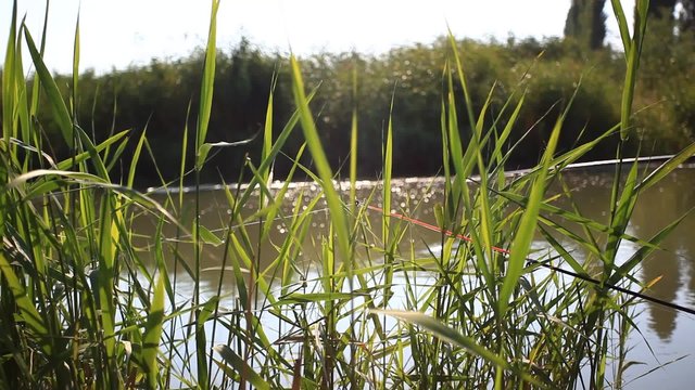 Fishing  in sunrise. Sunlight shines in the water. Spinning on