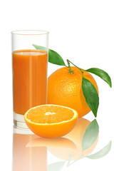 Obst 480
