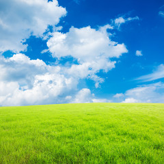 Obraz premium green field and blue sky