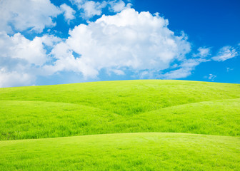 green field and blue sky