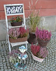 Wrocław, kwiatowa dekoracja