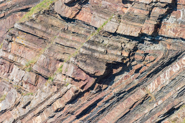 Chevron folding in geological strata at Millook Haven near Crackington Haven , Cornwall,UK