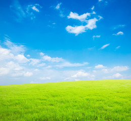 Obraz premium green field and blue sky