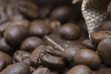 Coffee beans