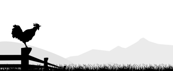  cock standing silhuette design vector rooster isolated © am54