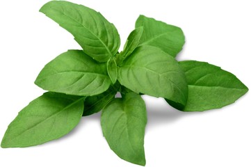 Basil, Spice, Food.