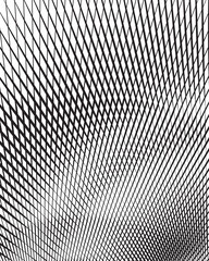 optical art background black and white vector © am54