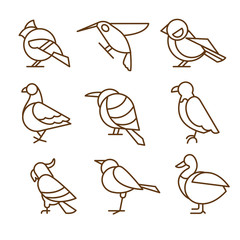 Fototapeta premium Bird Icons, Thin Line Style, Flat Design