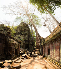 Naklejka premium Ta Prohm