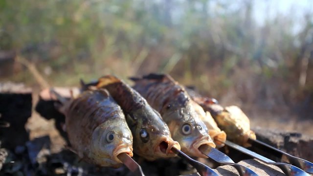 process of fish preparation. Fish grilling on a barbecue in