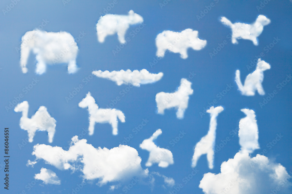 Wall mural Animal clouds shape