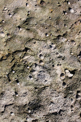 rocce marine