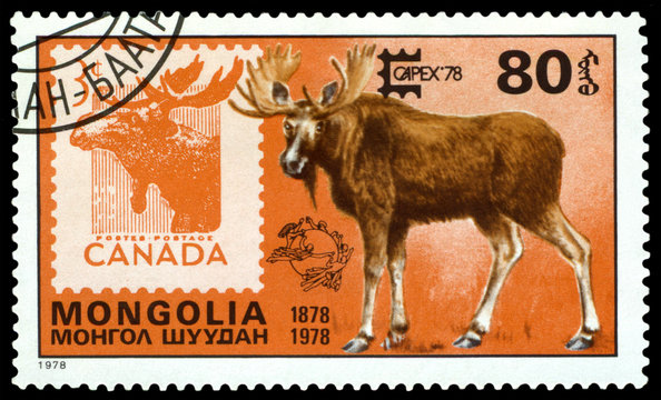 Stamp. Moose and Canada.