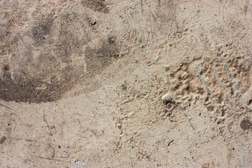 Cement floors are old and dirty.