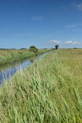 cours d'eau