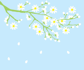 vector illustration of a floral spring background